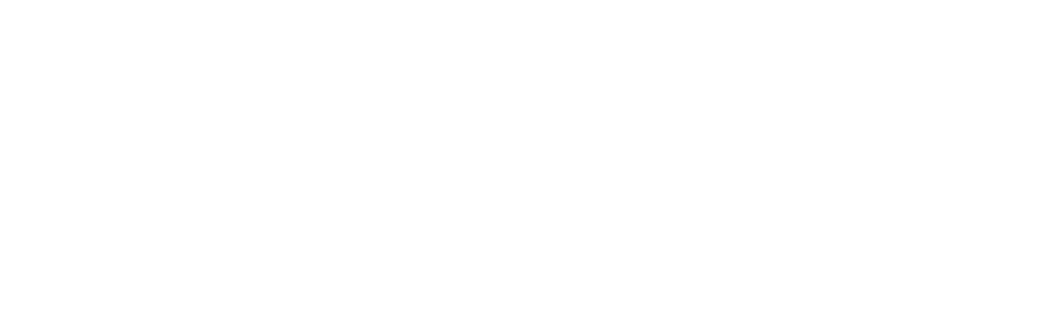 Devwiz — App, Software & Web Development